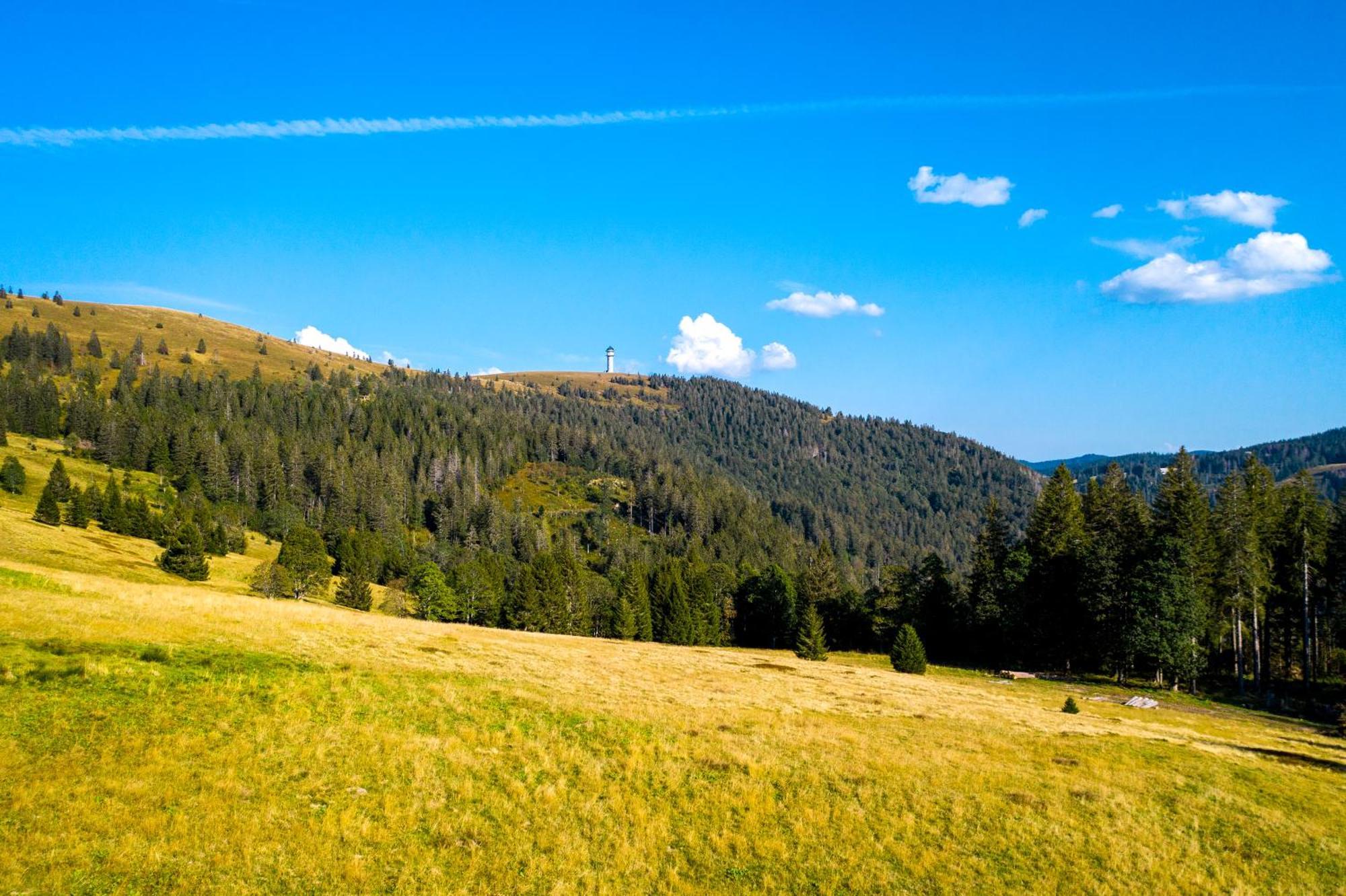 Berggasthof Zur Todtnauer Huette Feldberg  Εξωτερικό φωτογραφία